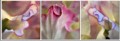 Nina Ludwig, Sweetpeas