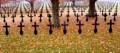 Fallen In Flanders, Michael Hope