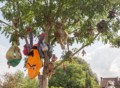 David Beard, The Hanging Tree